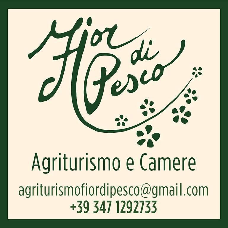 Agriturismo Fior Di Pesco Sommacampagna Exterior photo